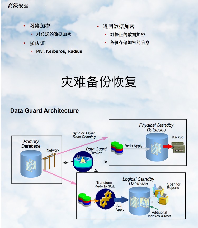 Oracle Database Enterprise Oracle Database Enterprise ORACLE RAC Cluster 11G//21C