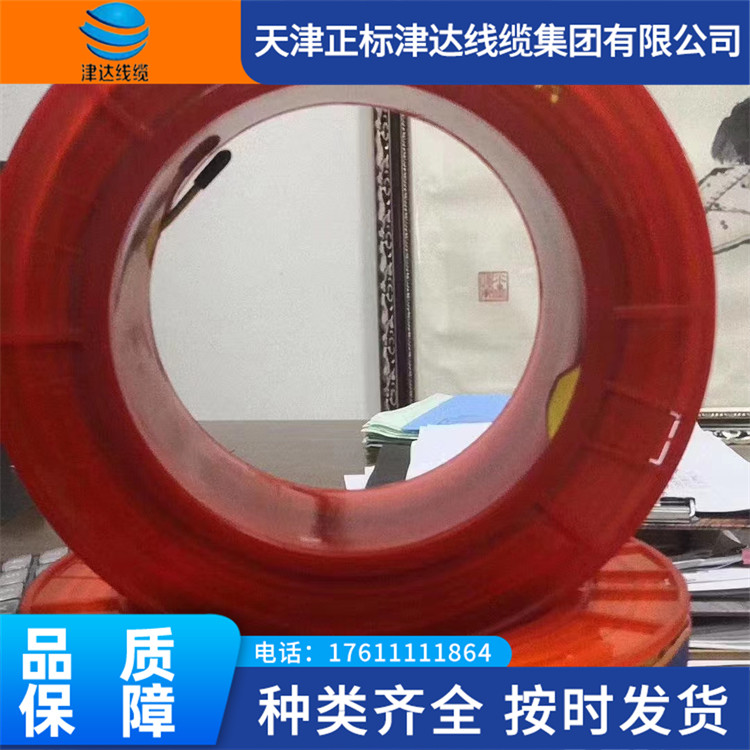 津达线缆电子仪表计算机用电缆 双屏蔽阻燃防火电线 足米定制