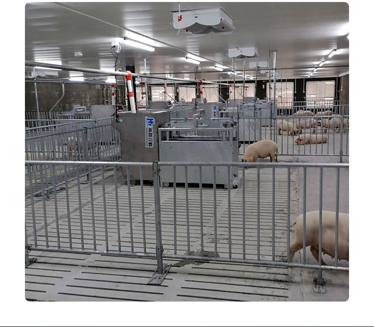 Intelligent Pig Raising Equipment for Pig Production Performance Measurement System Nanshang Agricultural Science and Technology