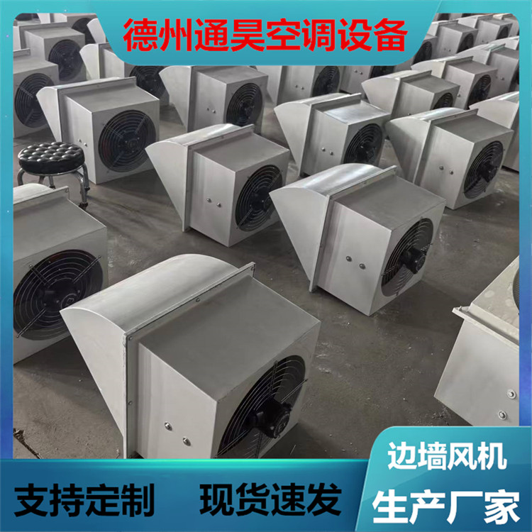 WEX-300D4 边墙风机 低噪声壁式排风机 车间防爆通风机定制