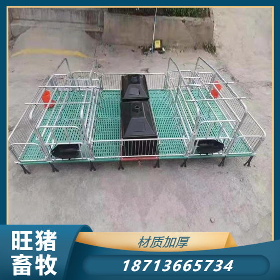 Single sow production bed pig breeding equipment logistics shipment hot-dip galvanized pipe welding Wang pig livestock