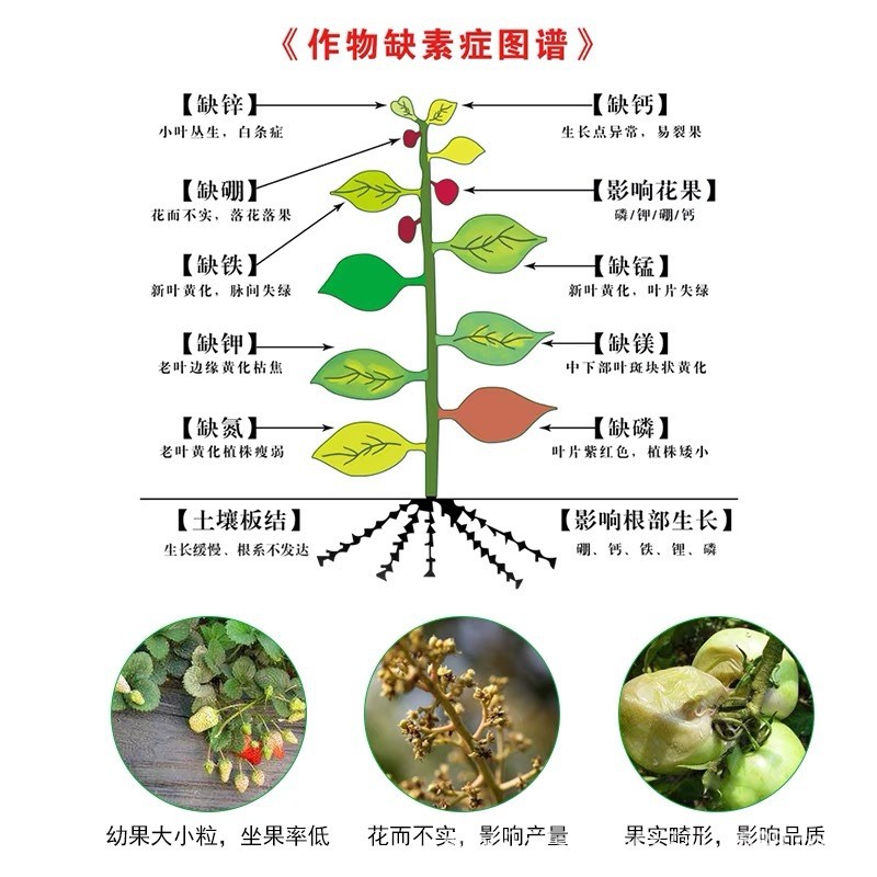 High potassium foliar fertilizer, large element potassium fertilizer, high content liquid potassium water-soluble fertilizer