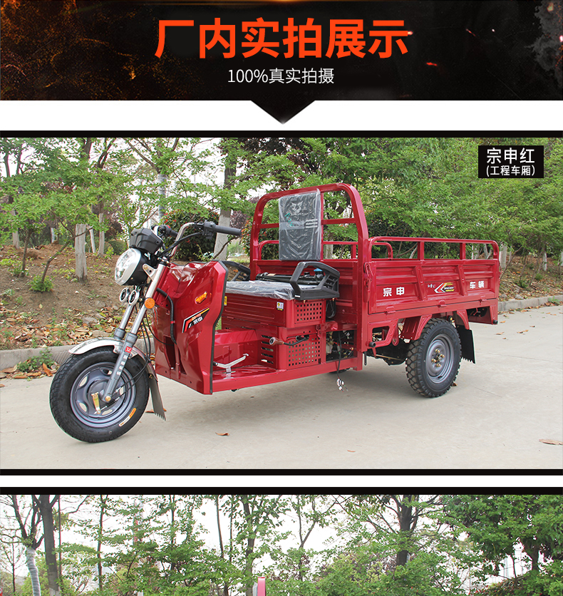 Zongshen brand ZONSEN TL5 Fantasy Ruizheng tricycle Guosi air-cooled brake