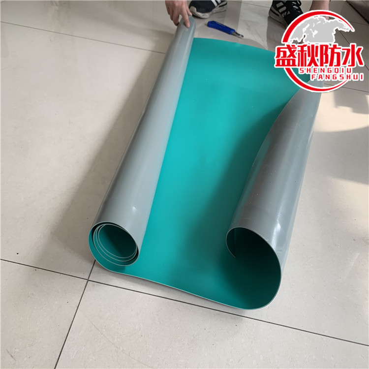 PVC waterproof roll material used for basement reservoir has good root system permeability and strength, manufactured by Goldman Sachs in autumn