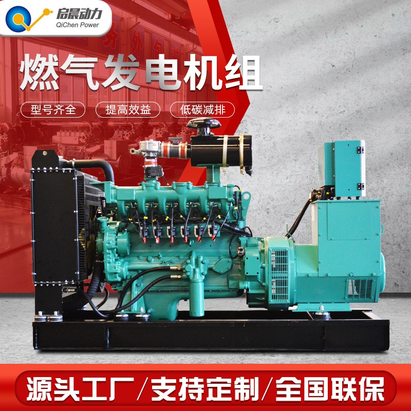 Natural gas generator 50kw Gas-fired power plant equipment Gas source power generation is economical and efficient