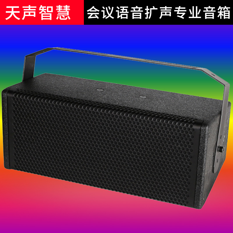 Tiansheng Smart Professional Amplification Full Frequency Speaker TS-568H Full Range Speaker High Power Audio