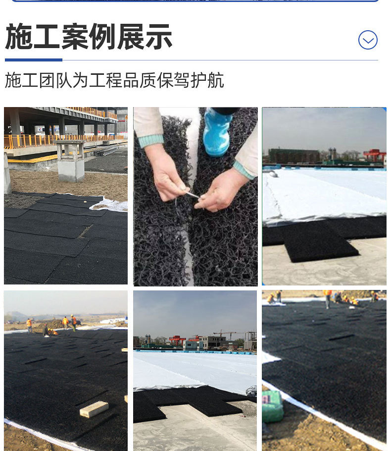 Geomat for Landscaping Garbage Landfill 2cm Seepage Drainage Sheet PP Black Mesh Drainage Board