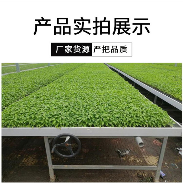 Tailong Greenhouse Corrosion resistant Seedling Bed Net Vegetable Galvanized Planting Net Bed Medicinal Material Planting Frame Customization