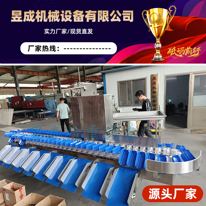 Yucheng betel nut automatic sorting machine sea cucumber traditional Chinese medicine weight grading accuracy high speed pear pomegranate fruit sorting machine