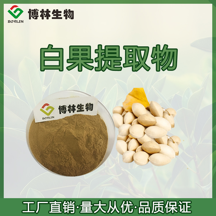 Ginkgo extract 10:1 Ginkgo extract Ginkgo water-soluble powder spray drying