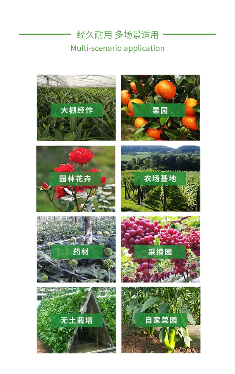 Sugar alcohol silicon fully water-soluble foliar silicon fertilizer prevents fruit cracking and increases fruit sugar content