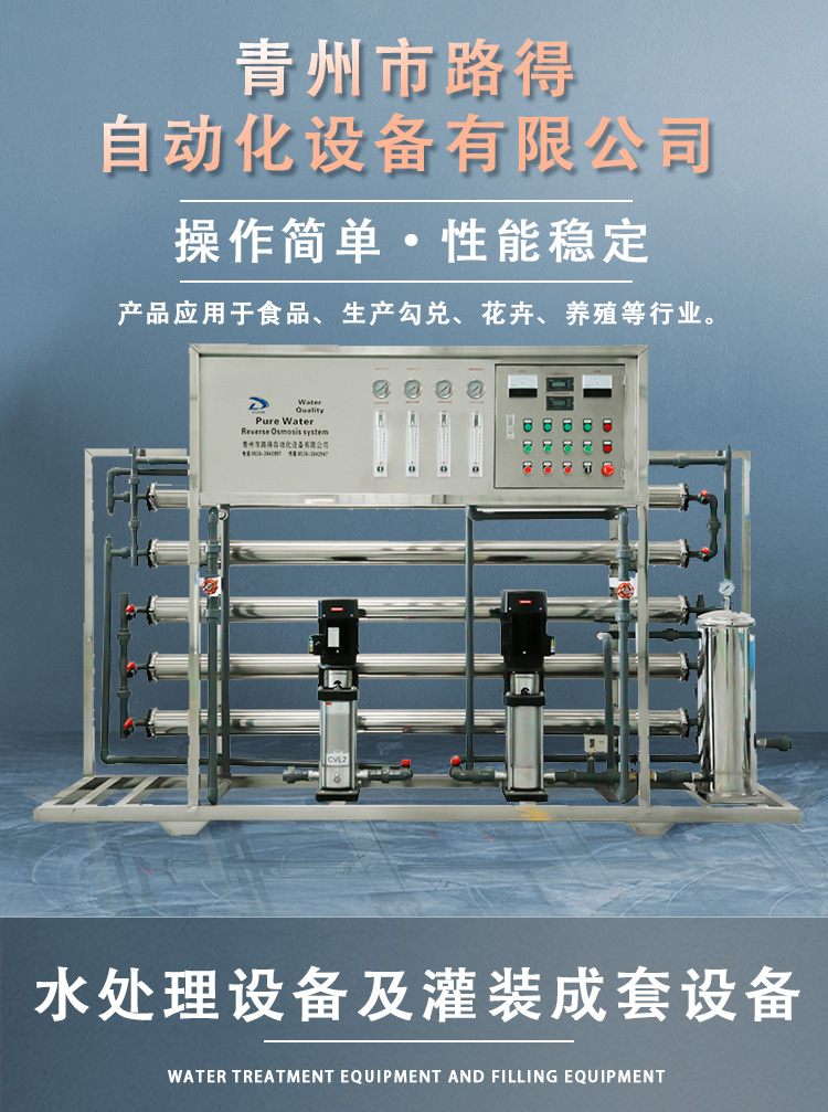 Reverse osmosis edi Ultrapure water equipment full-automatic Ultrapure water treatment equipment