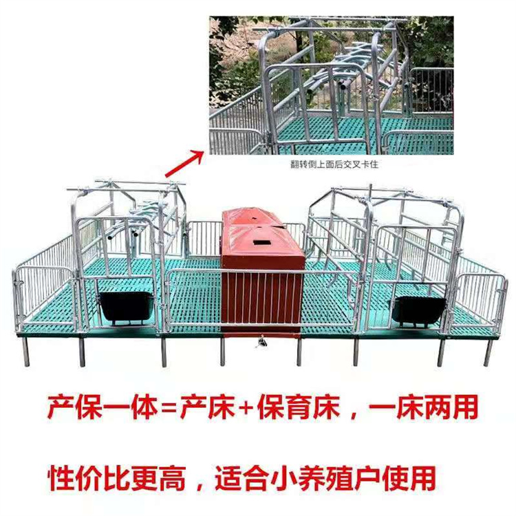 Automated pig farming equipment Hot dip galvanized twin sow production bed material thickened Wangzhu Animal Husbandry