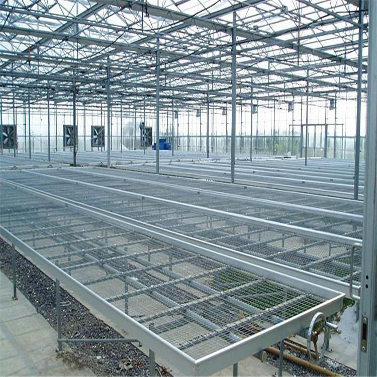 Tailong Greenhouse Corrosion resistant Seedling Bed Net Vegetable Galvanized Planting Net Bed Medicinal Material Planting Frame Customization