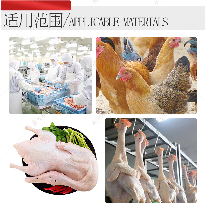 Stainless steel potato peeling machine Quail chicken duck hair removal machine Small automatic drum hair removal machine