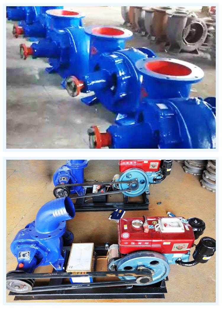 200HW-8 Mixed Flow Pump Horizontal Non clogging Sewage Pump Agricultural Irrigation Pump Diesel Engine Water Pump Quanli Pump Industry