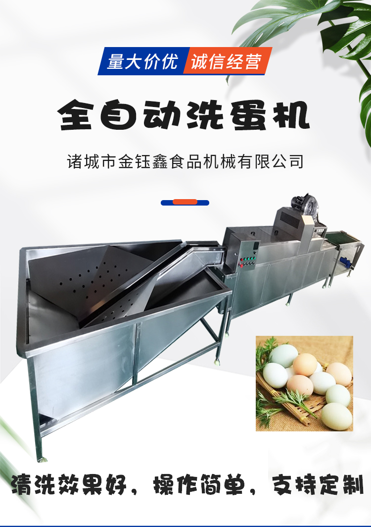 Egg washing machine Full automatic egg cleaning egg production line Preserved eggs desilting egg washing machine customized by Jin Yuxin