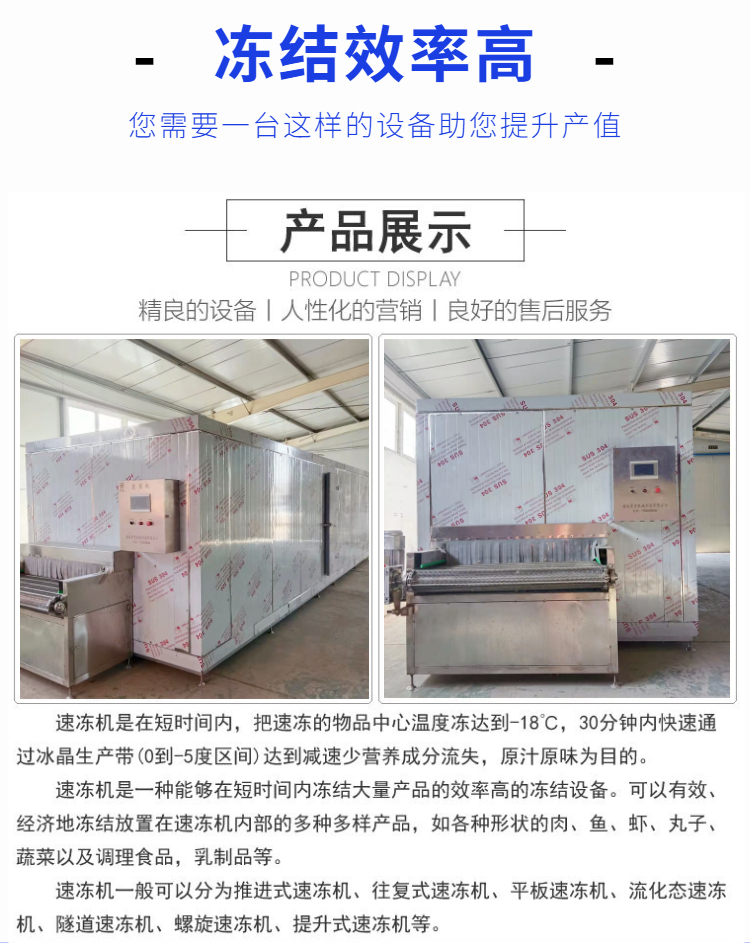 Fish fillet freezer, sushi freezer, frozen seafood processing equipment, commercial support customization