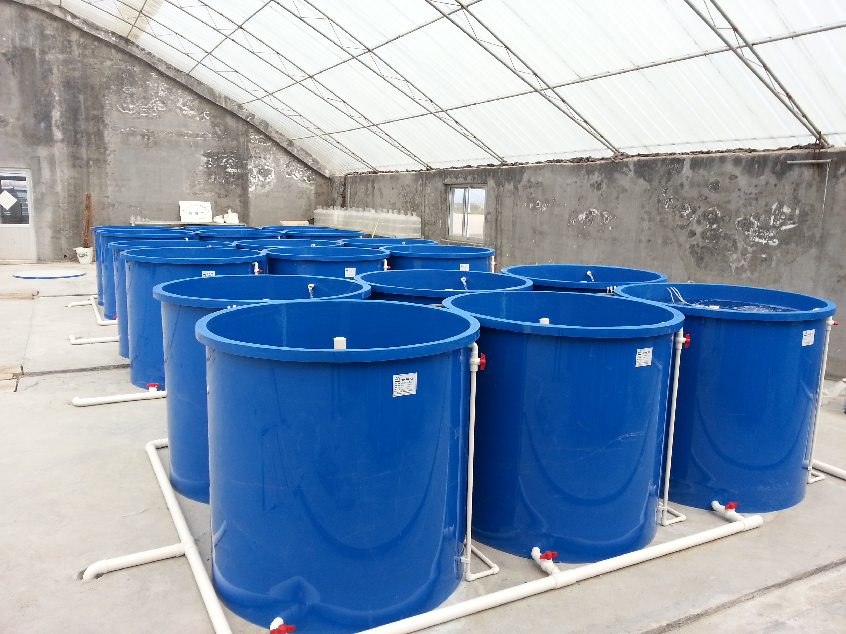 2020 new PP water tank system for fish and shrimp farming, circulating water aquaculture bucket