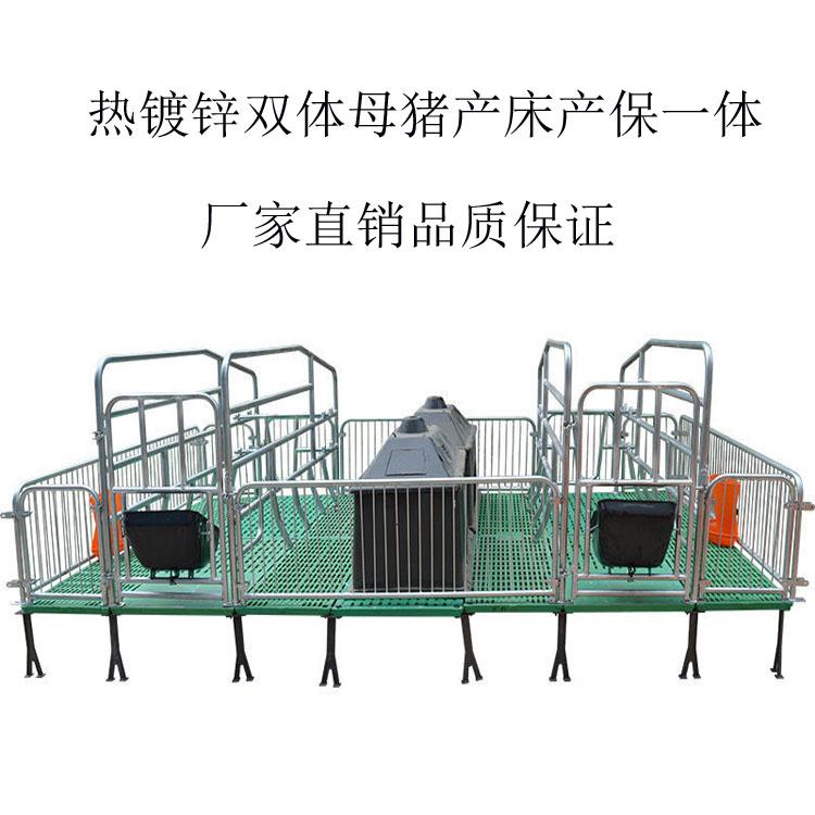 Wangzhu Livestock Supply Breeding Sow Delivery Bed Galvanized Tube Single and Double Body Delivery Bed