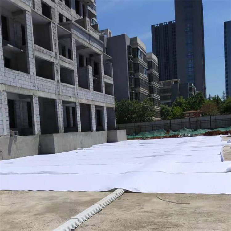 Polymer protective drainage profiled sheet underground garage siphon drainage system