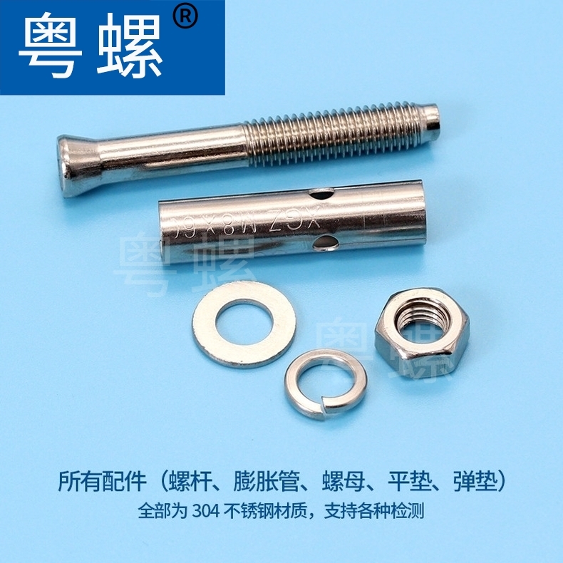 Guangdong Screw Wholesale High Strength Screw Stainless Steel Screw Wall plug