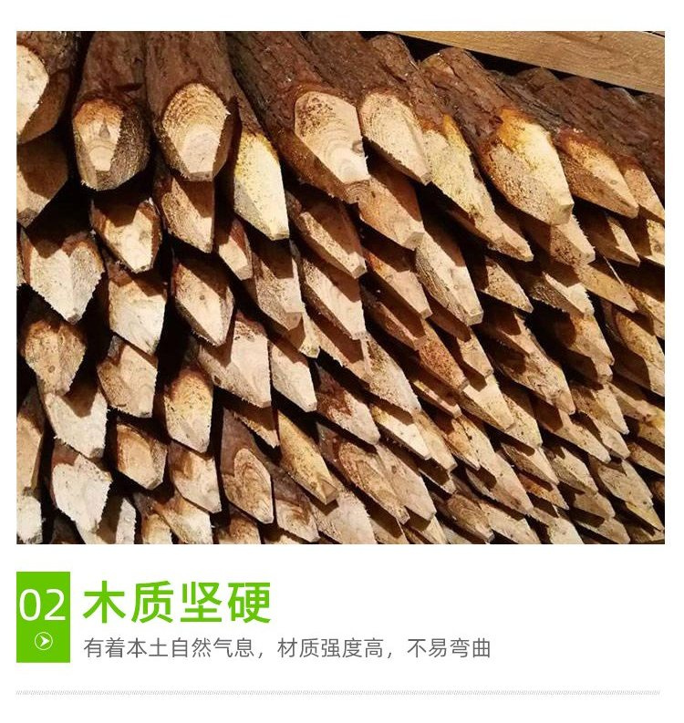 Cunninghamia lanceolata stake, river flood prevention stake, log, larch landscape, greening support pole, round wood base, Hongyuan Building Materials