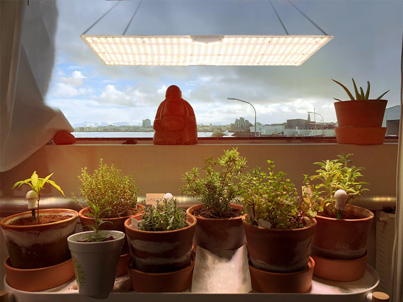 PCB quantum board Grow light full spectrum greenhouse fleshy vegetable flower potted LED fill light