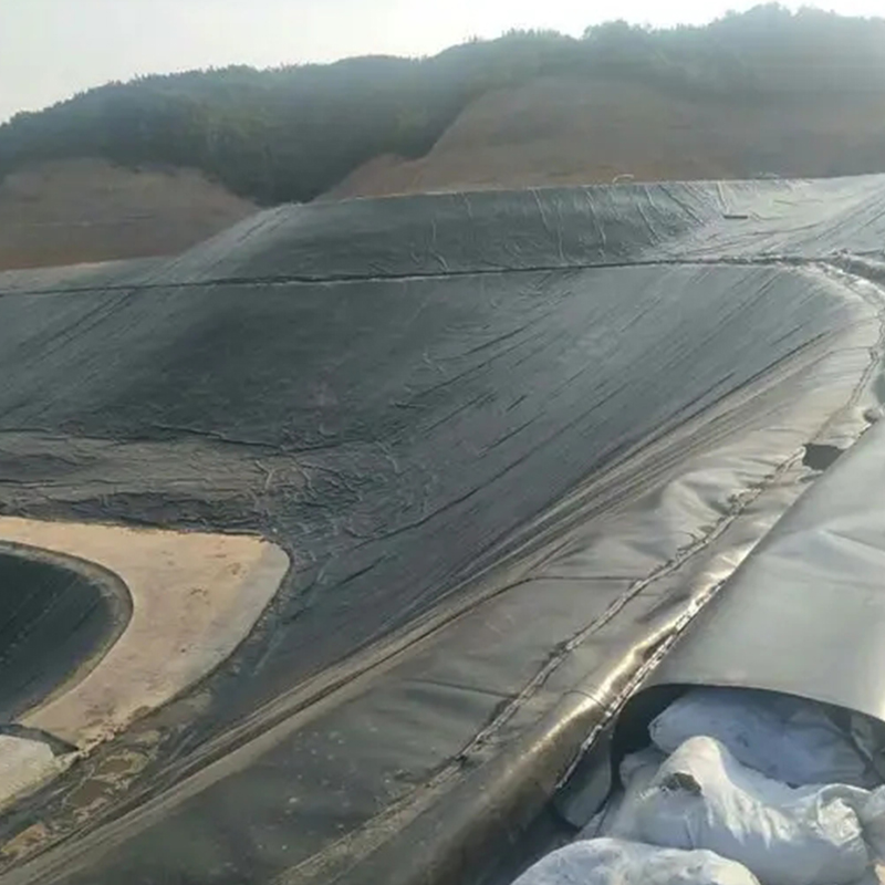 HDPE geomembrane artificial lake fish pond aquaculture water storage pool smooth surface anti-seepage film