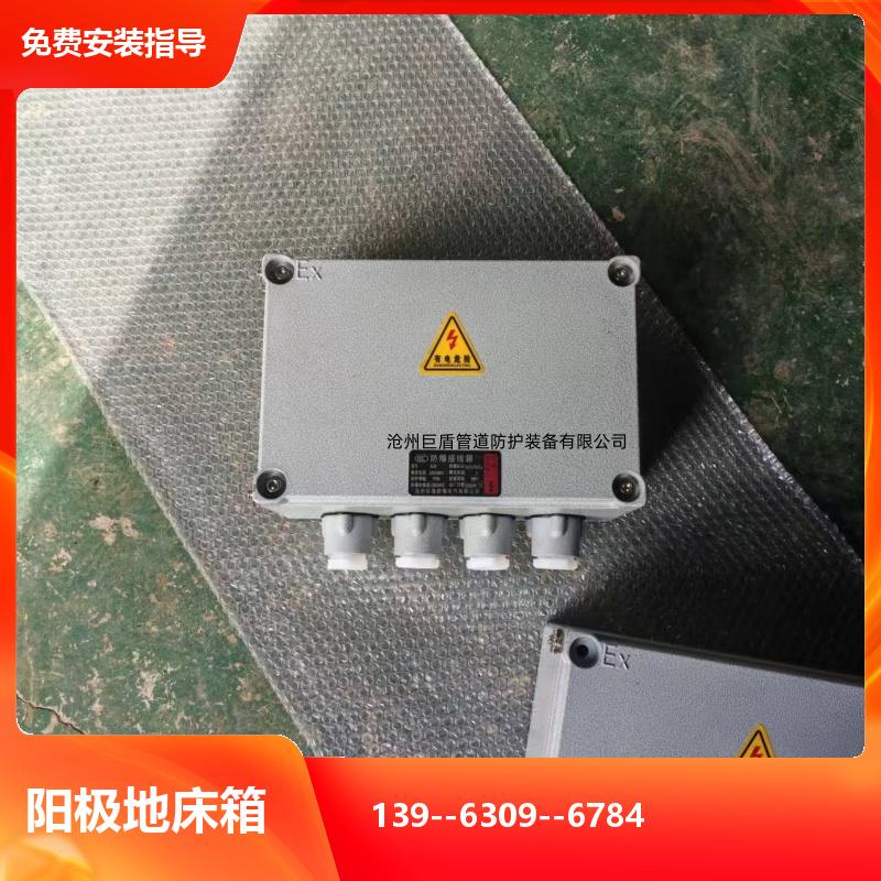远传远控 锌阳极防爆测试桩 阴极保护装置 2/2.5/3米 运行稳定 巨盾