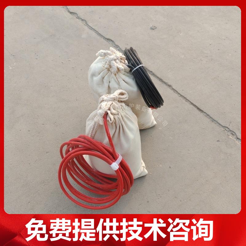 储罐用 极化探头 供水管线用长效硫酸铜参比电极 带电缆 测试准确 巨盾