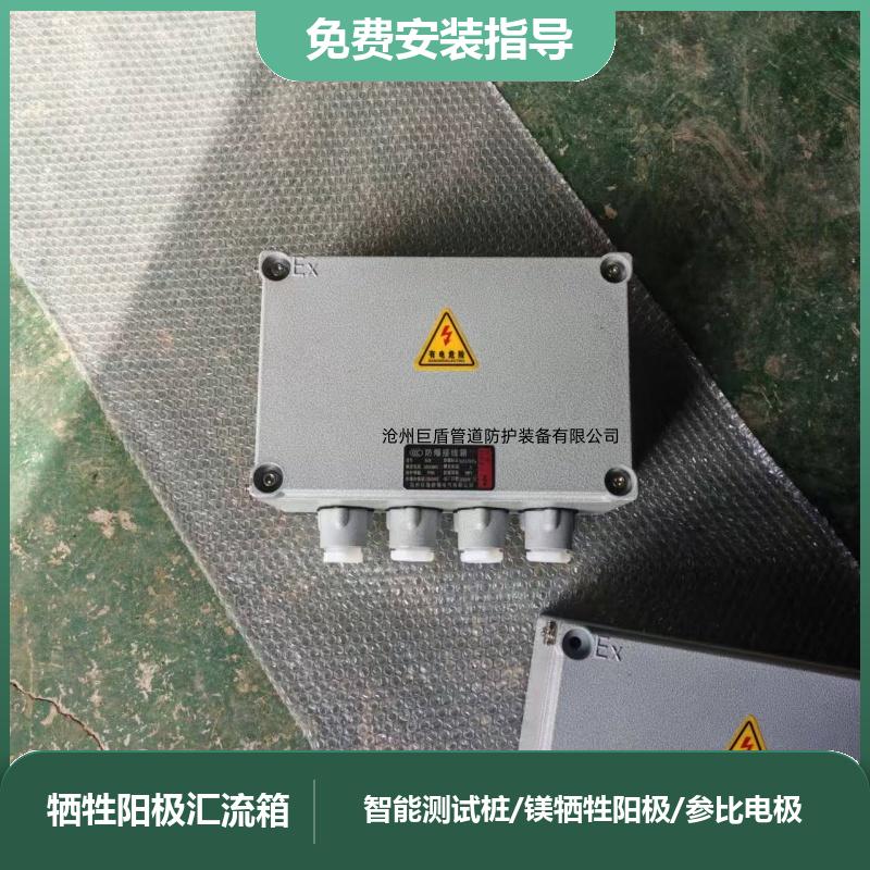 储罐阴极保护 2/2.5/3米 锌阳极防爆测试桩 远传远控 运行稳定 巨盾