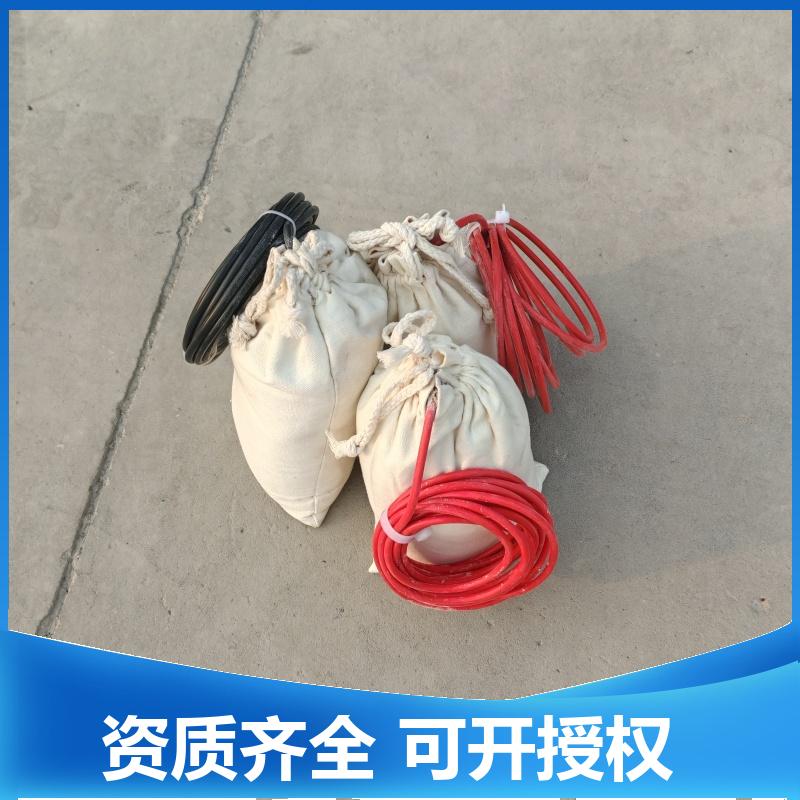 极化探头 带电缆氯化银参比电极 镁阳极包 阴极保护配套 测量准确 巨盾