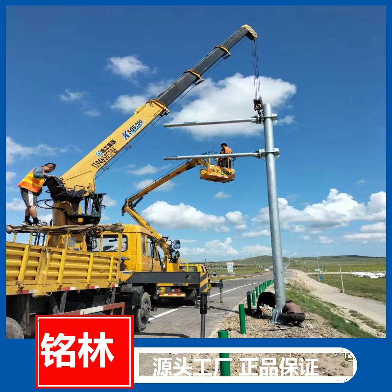  单悬臂 浸塑 Q235钢材 单柱式交通标志杆 多年行业经验 铭林