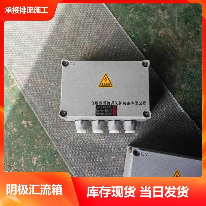 不锈钢测试桩 镁阳极 远传远控防爆接线箱 储油罐底防腐 运行稳定 巨盾