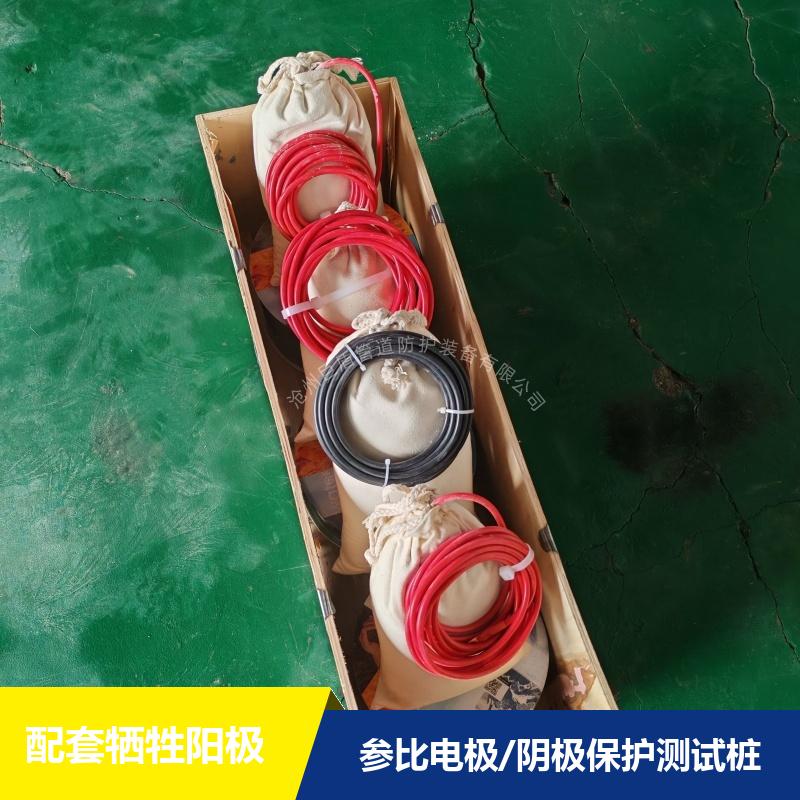 埋地型 供水管线用长效硫酸铜参比电极 带填包料 储罐用 测试准确 巨盾