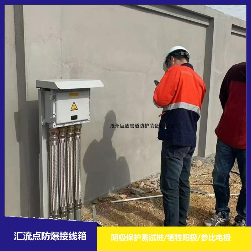 镁阳极 阴极保护装置防爆接线箱 108*4*2000 智能测试桩 运行稳定 巨盾