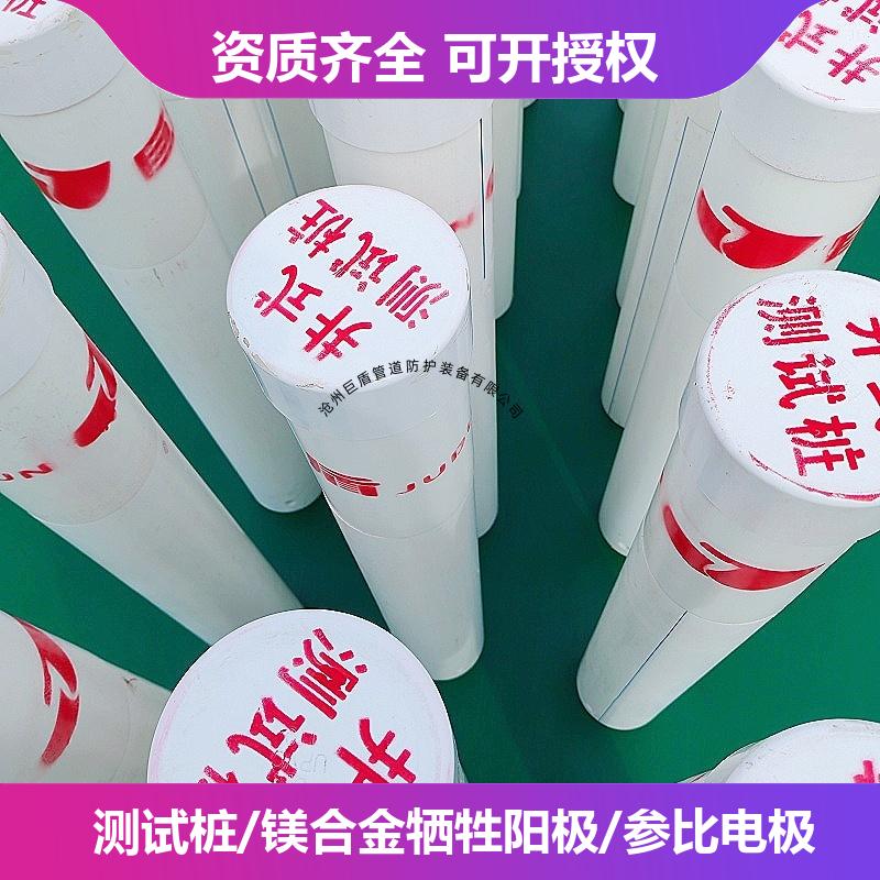 输气管道用 TP-250 108*4*2000 3米阴保桩 数据采集准确 免费安装指导