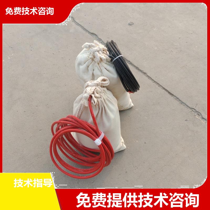 带填包料便携参比电极 镁合金牺牲阳极 埋地型 极化探头 测量准确 巨盾