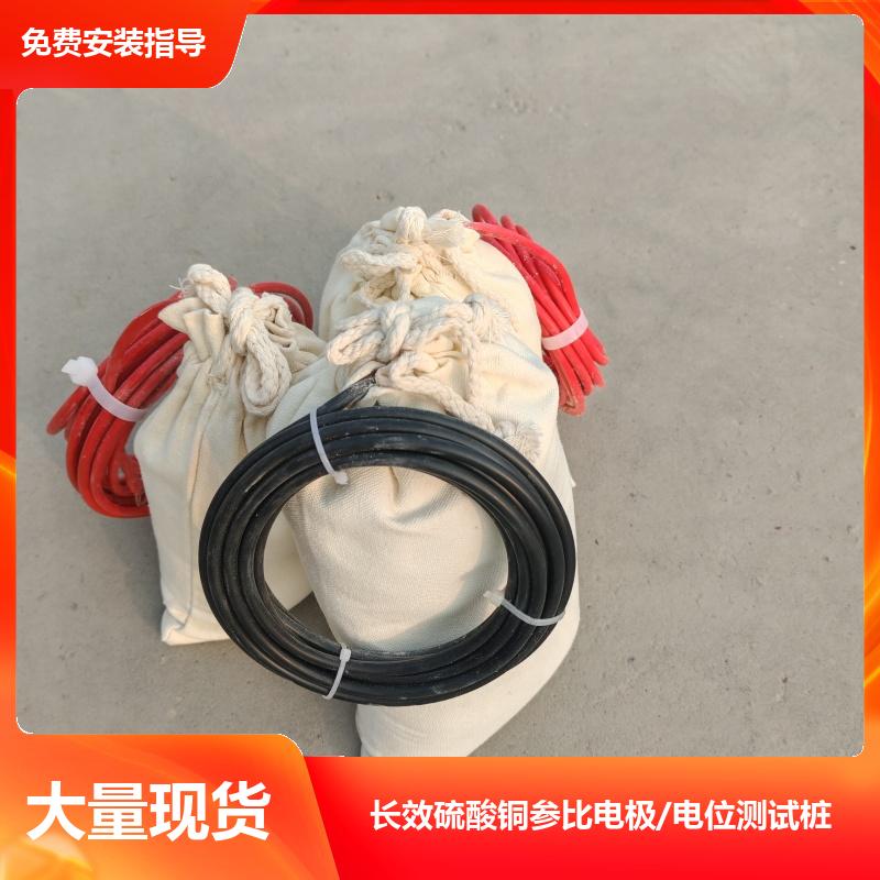 埋地型 带电缆高纯锌参比电极 镁合金牺牲阳极 极化探头 测量准确 巨盾