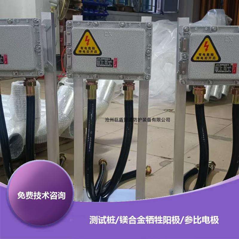 锌阳极防爆接线箱 储罐阴极保护 108*4*2000 智能测试桩 运行稳定 巨盾