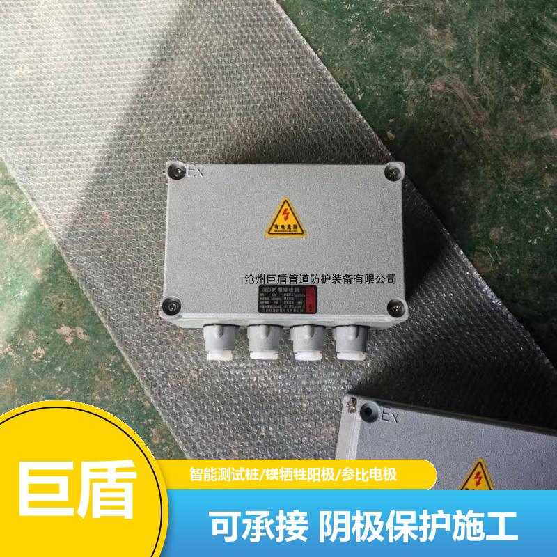 储油罐底防腐 阴极保护装置 远传远控 锌阳极防爆接线箱 运行稳定 巨盾