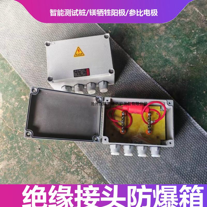 锌阳极防爆接线箱 阴极保护装置 108*4*2000 2/2.5/3米 运行稳定 巨盾