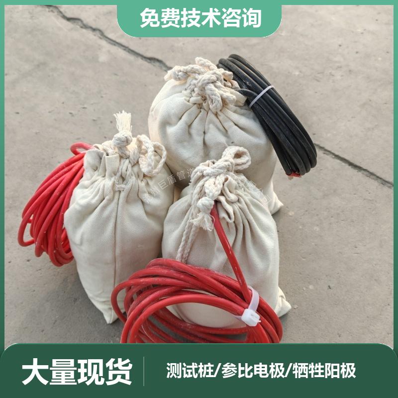 锌阳极长效硫酸铜参比电极 储罐用 极化探头 带电缆 测量准确 巨盾