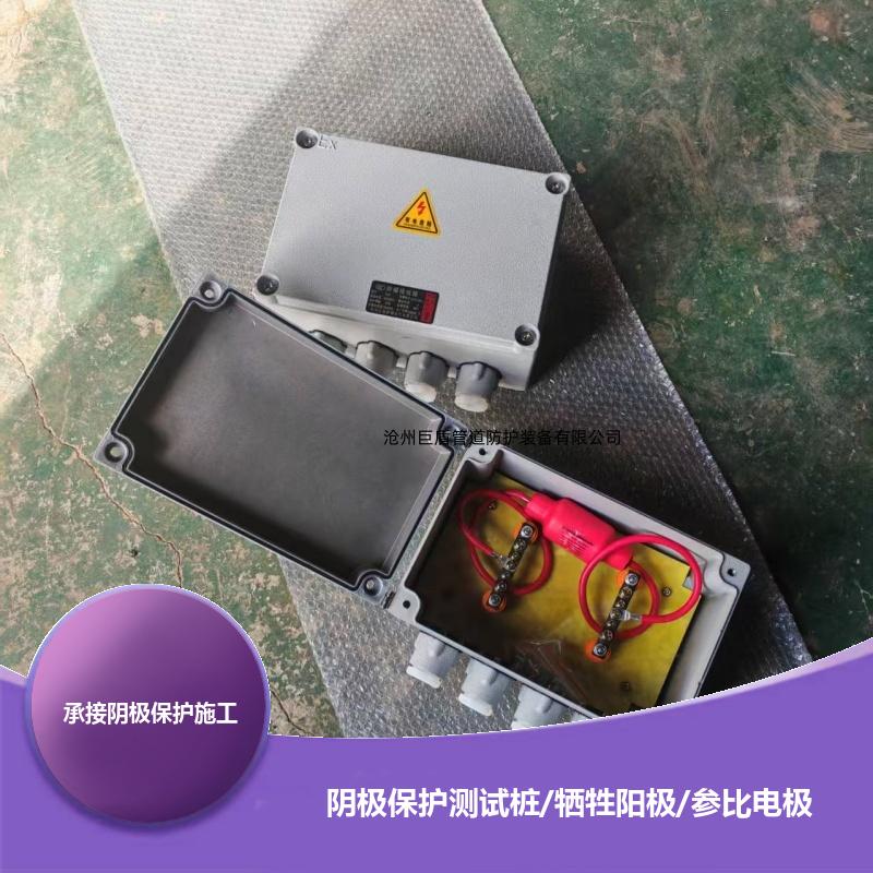 锌阳极防爆接线箱 阴极保护装置 2/2.5/3米 智能测试桩 运行稳定 巨盾