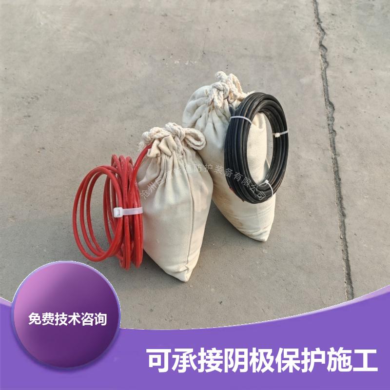 埋地型 输气管道用 锌阳极长效硫酸铜参比电极 极化探头 测量准确 巨盾