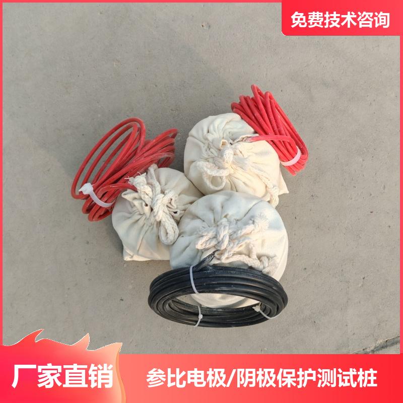 带电缆便携参比电极 天然气管道用 阴极保护配套 埋地型 测量准确 巨盾