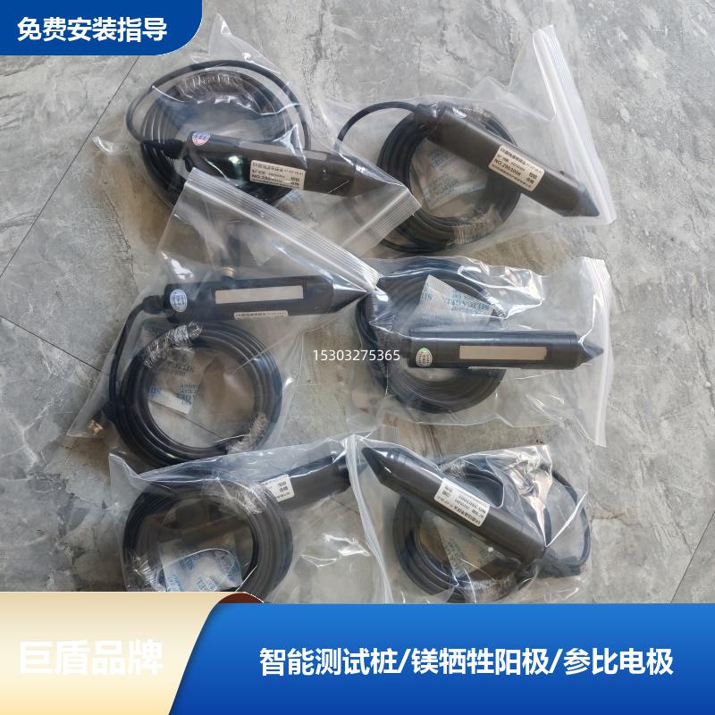 TP-250 108*4*2000 井式测试桩 地下管网ER腐蚀速率探头 运行稳定 巨盾