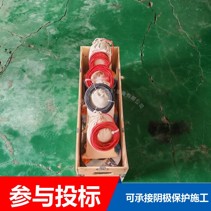 阴极保护配套 埋地型 带电缆 锌阳极长效硫酸铜参比电极 测量准确 巨盾