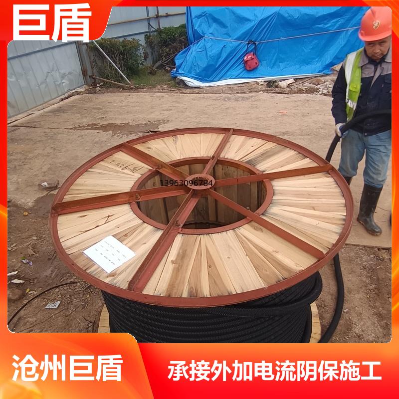 50V30A 防爆接线箱 导电聚合物 柔韧性强网状阳极 免费技术咨询 巨盾